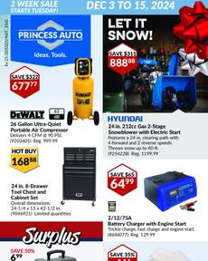 Princess Auto flyer from Tuesday 12-03