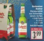 Budweiser Budvar, 6 x 0,33 l