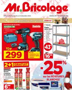 Mr. Bricolage