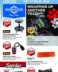 Princess Auto flyer from Tuesday 12-17